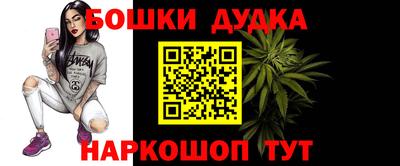 мдпв Пушкино