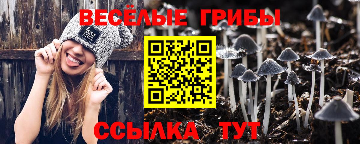 Галлюциногенные грибы ЛСД Рыбинск